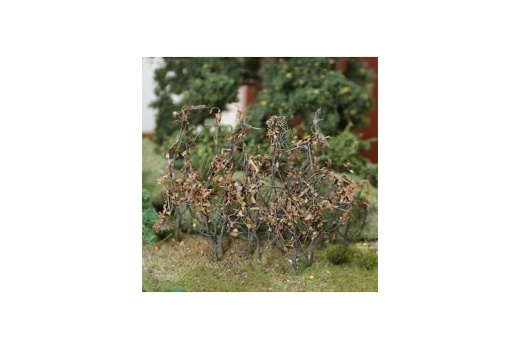 dry-leaves-branches-800x800-340x340