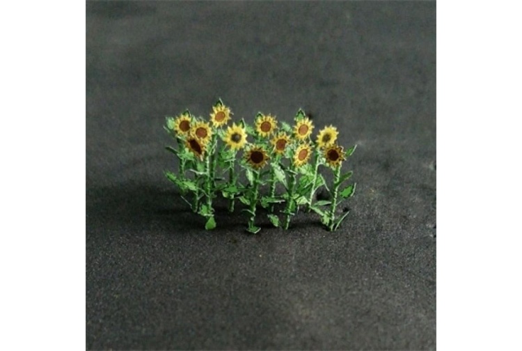 sunflowers-800x800