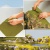 Busch 7392 Flora Fleece Landscaping Material