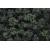 Woodland Scenics FC149 Forest Blend Bushes (Bag) Woodland Scenics FC149 Forest Blend Bushes (Bag)